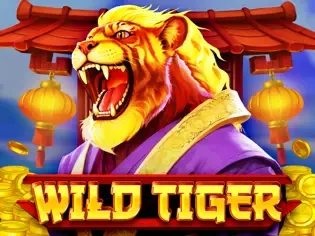Wild Tiger game cover